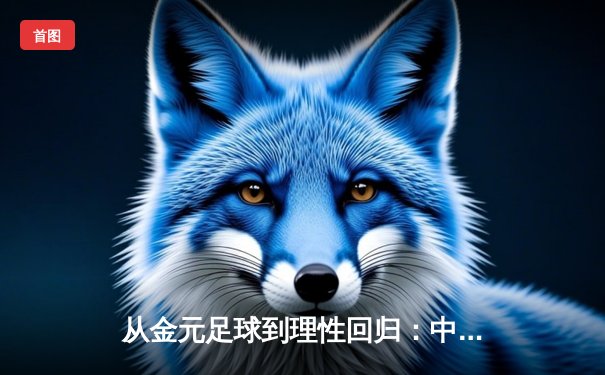 从金元足球到理性回归：中国职业联赛的转型阵痛与未来之路
